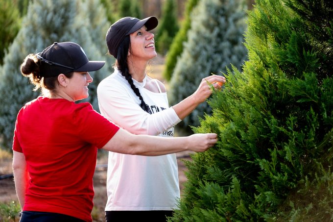 East Texas Christmas tree farms open for season