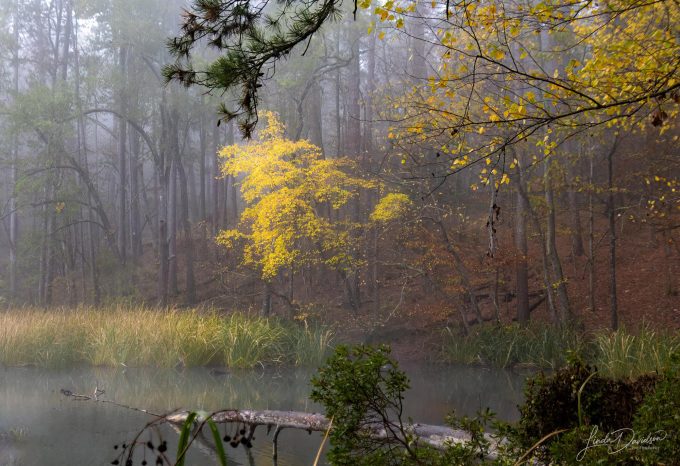 PHOTOS: Our readers’ Best Shots from Dec. 19-25, 2025