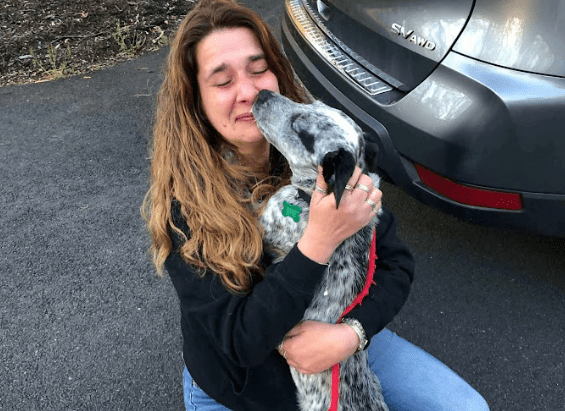 Pets find fresh start while filling space in families’ hearts thanks to East Texas animal welfare organizations